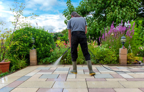 Best Animal Enclosure Cleaning  in Verona, KY